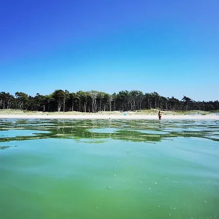 Ostseetraum * פרראו